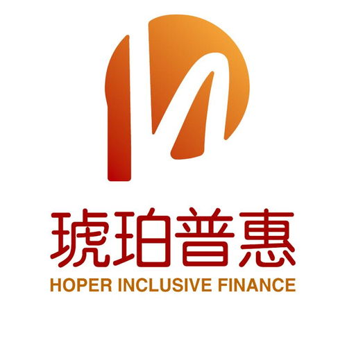 深圳琥珀普惠信息咨詢服務 專業(yè)引領，信息賦能