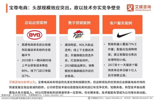 艾媒咨詢2020上半年中國品牌電商服務(wù)商行業(yè)研究報(bào)告 信息咨詢服務(wù)的價(jià)值與趨勢