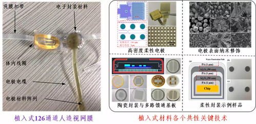 深圳先進院攜多個黑科技產品閃耀CIOE2018，推動光電技術交流與創新